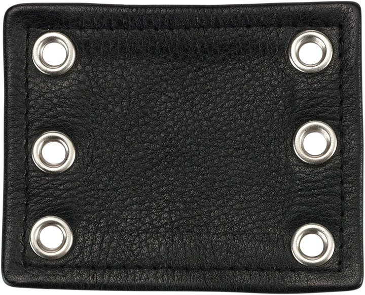 Z1R Chap Extender - Black 2811-0451