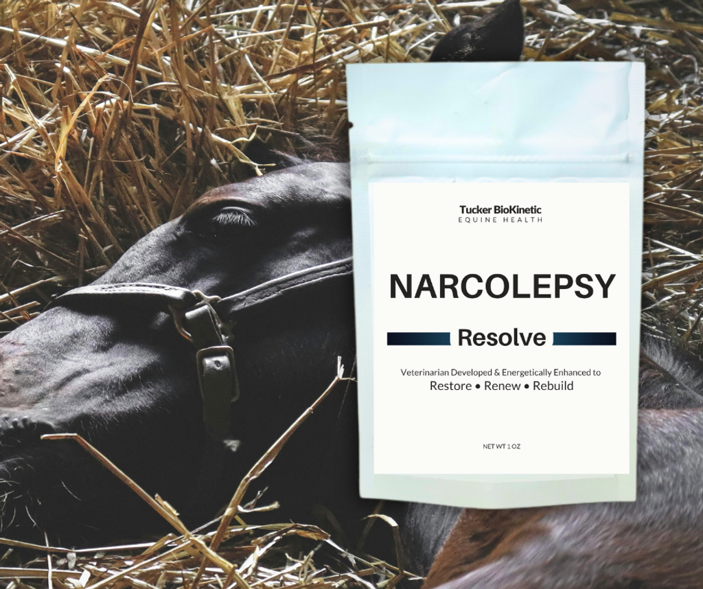 equine science, horse awareness, narcolepsy in horses, narcolepsy, animal health, narcoleptic horse, pet health, equine behavior, horse diseases, horse, horses, sleep disorder, horse welfare, horse health, veterinary medicine, equestrian lifestyle, horse training, horse veterinary,horse narcolepsy, horse with narcolepsy, can you ride a horse with narcolepsy, horse narcolepsy symptoms, horse narcolepsy treatment, narcolepsy in horse, equine narcolepsy vs sleep deprivation, horse sleep deprivation, horse sleep deprivation treatment, how to help a horse with sleep deprivation, horse sleep deprivation symptoms, horse sleep deprivation treatment medication, sleep deprivation in horse, equine sleep deprivation, how do I know if my horse has narcolepsy, how do you treat narcolepsy in horses, what is sleep crashing in horses, is it safe to ride a horse with narcolepsy, horse narcolepsy symptoms, horse narcolepsy treatment, horse narcolepsy causes, narcolepsy in horses video, how to cure sleep deprivation in horses, cataplexy in horses, signs of sleep deprivation in horses, how to tell if horse is sleep deprived, how to fix sleep deprivation in horses, how long can a horse go without sleeping, sudden sleep attacks (while standing or moving), cataplexy (sudden loss of muscle tone), excessive daytime sleepiness