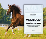 metabolic horse, metabolic horse supplements, metabolic horse syndrome, what is a metabolic horse, metabolic horse feed, metabolic horse laminitis, metabolic horse treats, metabolic horse symptoms, what does a metabolic horse mean, how to care for a metabolic horse, metabolic horse problems, what is a metabolic horse, metabolic horse diet, what is a metabolic condition in horses, what are the five signs of metabolic syndrome, how do you fix equine metabolic syndrome, what is metabolism in horses,