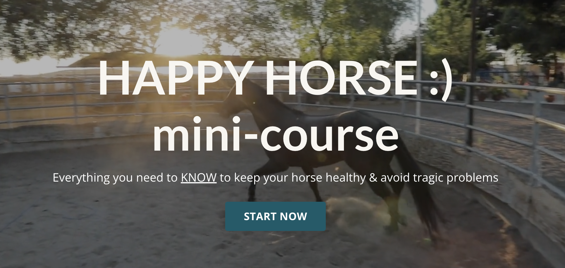 Happy Horse Mini-Course Equine Education