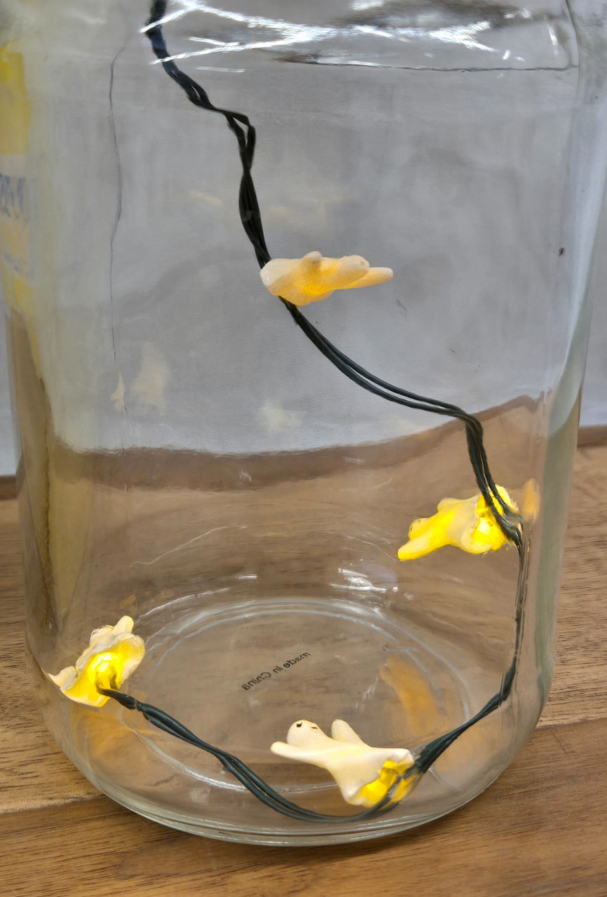 Boyd's Glass Bug Jar W/ Lighted Ghosts w/ Box