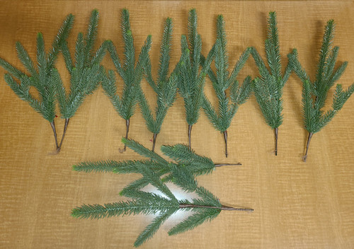 10 Christmas Tree Branches