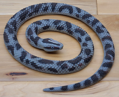 PYTHON Snake - Realistic Rubber Toy