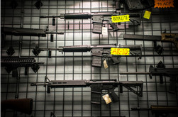 AR-10 vs AR-15: Differences, Parts, and More 