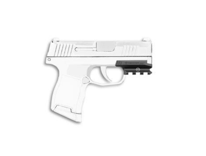 Everything You Need to Know About Sig Sauer P365