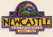 Newcastle Annual Celebration Day 5/17/15