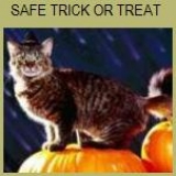 Safe Trick or Treat 2015