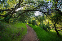 Placer to explore options for expanding Hidden Falls Regional Park, adding parking