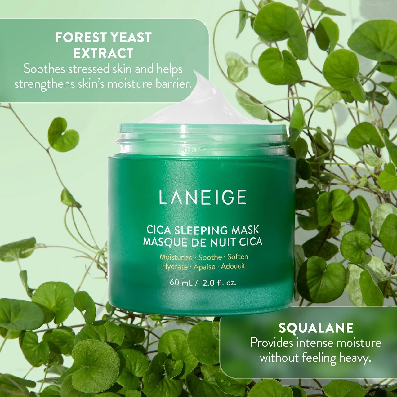 LANEIGE CICA & WATER SLEEPING MASK 新品 Amazon.com: LANEIGE Cica Sleeping Mask: Korean Sensitive Skin