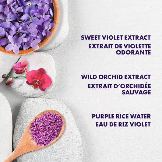 Shea Moisture Purple Rice Water Strength & Color Care Hair Oil Serum