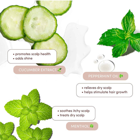 MIZANI Scalp Care Dandruff Shampoo