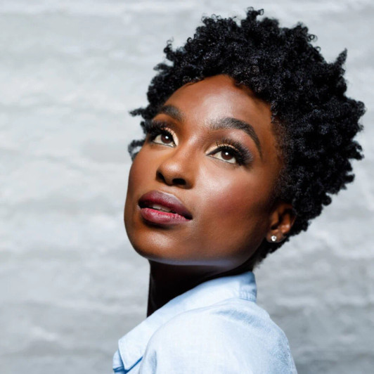 Mielle Pomegranate & Honey Air Dry Styling Lotion