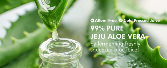 [Holika Holika] Aloe 99% Soothing Gel (8.5 oz)