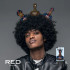 RED Soul Pik Curly Hair & Afros Hair Pick