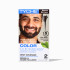 TYCHE Permanent Beard & Mustache Color Quick & Easy