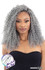 SHAKE N GO Freetress Braid Synthetic Crochet Hair - 3X Water Curl Boho Braids 12"