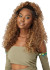 OUTRE Synthetic 6X5 Pre-Cut HD Lace Closure Wig - HHB-Dominican Curly 22"
