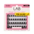 EBIN LAB EXTENSIONS DIY Cluster Lashes (Pre-glued)