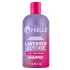 Mielle Lavender & Lychee Scalp Moisturizing Shampoo (12oz)