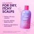 Mielle Lavender & Lychee Scalp Moisturizing Shampoo (12oz)