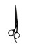 DIANE Fromm Dare 5.75" 1-piece shear(Black)