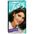 Just 5 Women's 5 Minute Permanent Hair Color