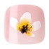 Kiss Gold Finger Solid Color Toenails - HONEY DAISY
