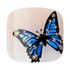 Kiss Gold Finger Solid Color Toenails - BUTTERFLIES