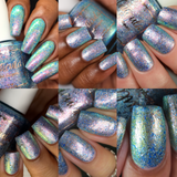 Frost In Wonderland Collection