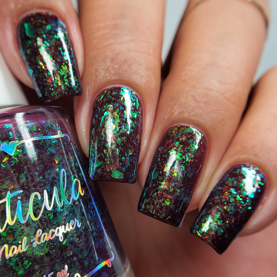 Collections Cuticula