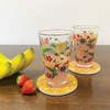Printed Glass Tumbler (Set of 2) - Hummingbird (Nenookaasi)