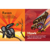 Board Book - Animals of the Salish Sea