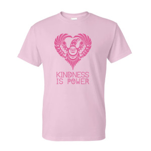 Anti-Bullying Shirt - Kindness is Power