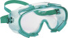 V80 MONOGOGGLE 211 Goggles, Clear/Green, Indirect Ventilation