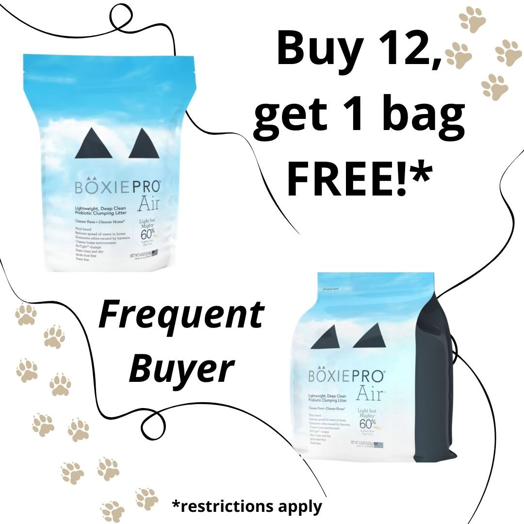 BoxiCat Pro Cat Air Litter Curbside Pickup Cat