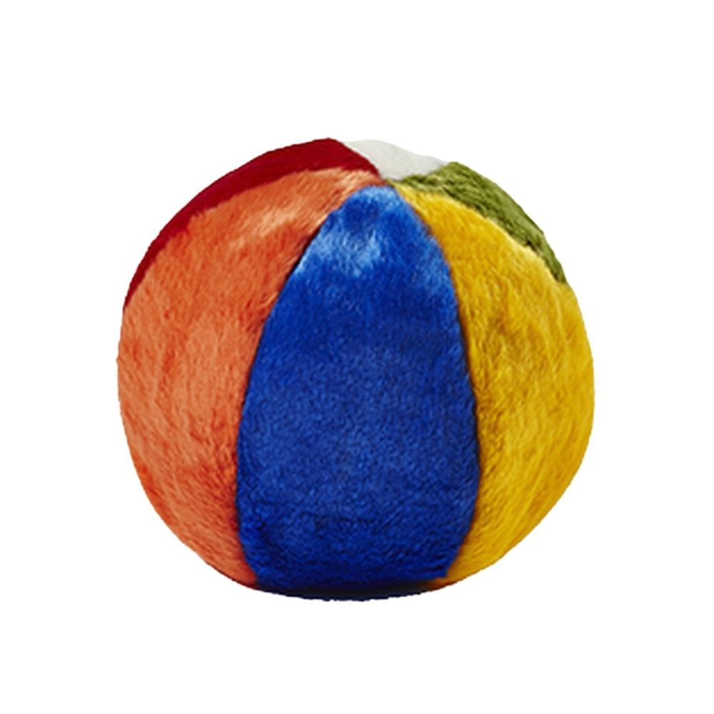 dog beach ball
