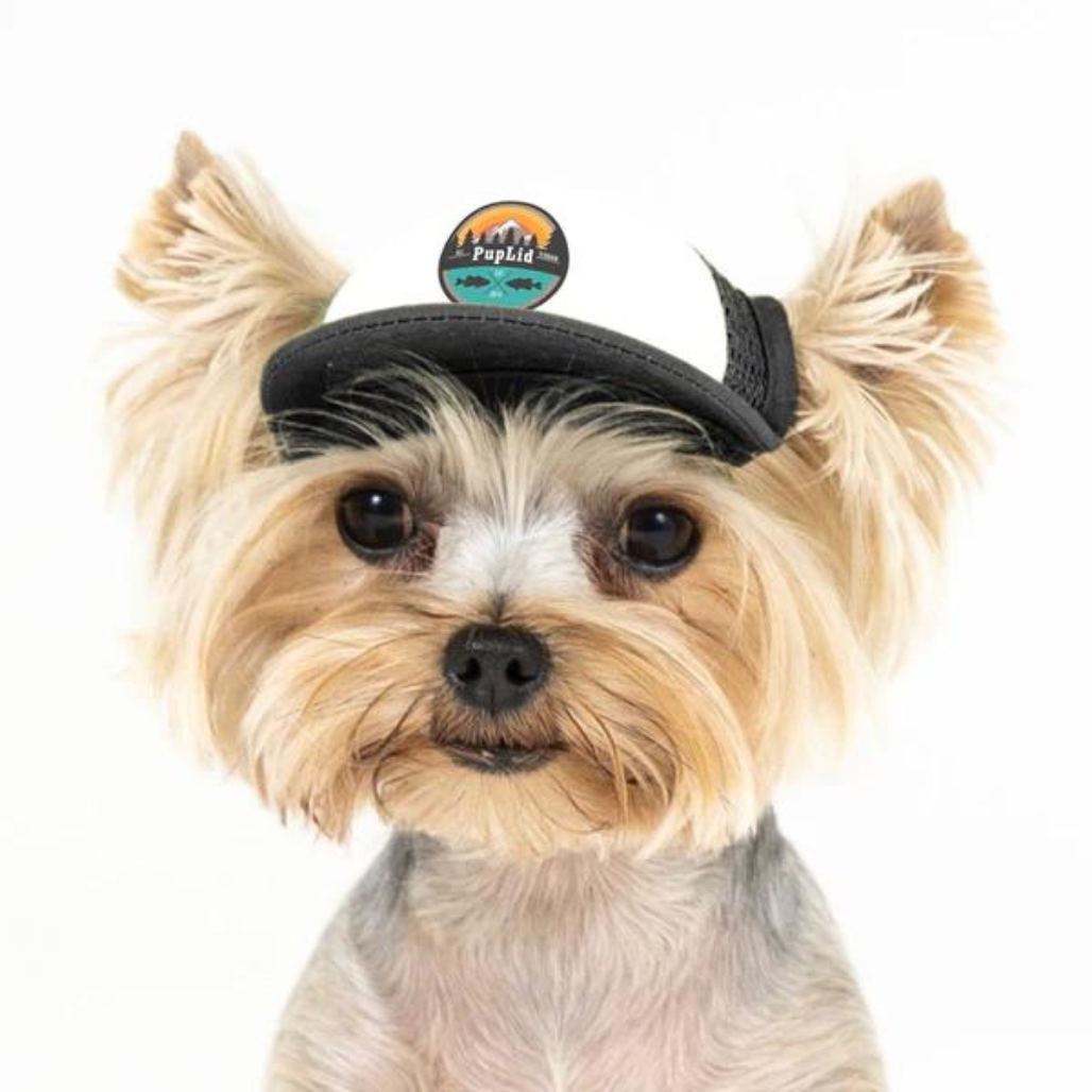 PupLid Hat Oregon Mountains Dog Shop Outdoor Dog Accessories