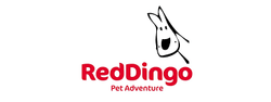 Red Dingo