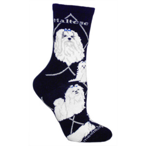 Wheel House Maltese Socks