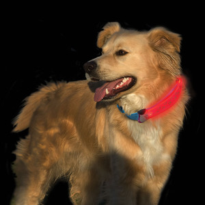 Nite Ize Nite Dawg LED Collar Cover Nite Ize Nite Dawg LED Collar Cover