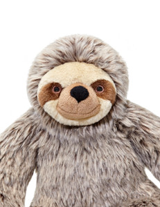 Tico The Sloth Tico The Sloth