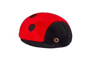 Ladybug Ladybug
