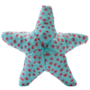 Ally Starfish Ally Starfish