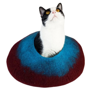 Walking Palm Maroon & Teal Cat Cave Walking Palm Maroon & Teal Cat Cave