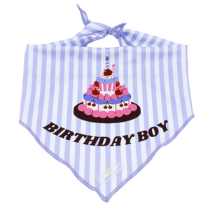 Retro Birthday Boy Bandana - M