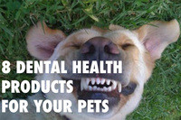 8 Dental Health Products for Your Pets