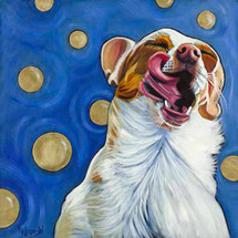 Hip Hound Raw Favorites 