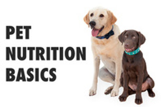 Pet Nutrition Basics Pet Nutrition Basics