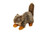 Fluff & Tuff Nuts the Squirrel Fluff & Tuff Nuts the Squirrel
