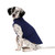 Gold Paw Series Stretch Fleece - Navy